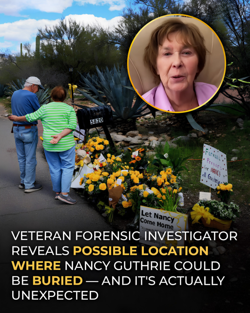 Nancy Guthrie Case: Veteran Investigator Reveals a Potential General Suspect Profile and Theorizes Where Nancy May Be Found