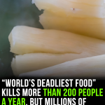 World’s ‘deadliest food’ kills 200 each year
